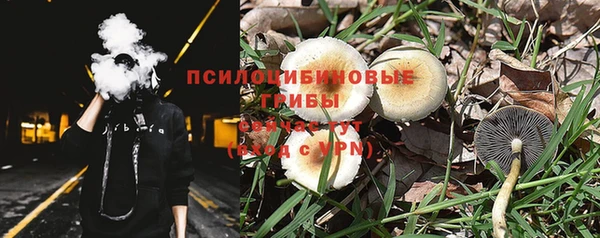 молекула духа Кинешма