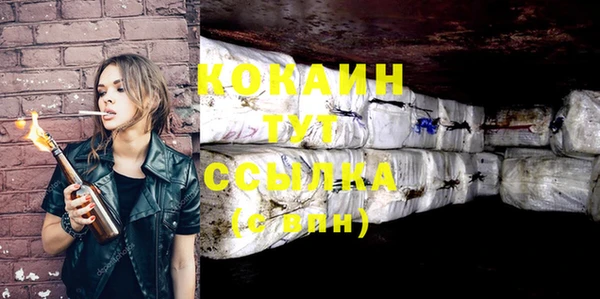 молекула духа Кинешма