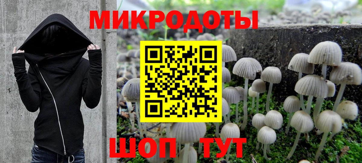Симферополь  купить закладку  Вход с VPN  Галлюциногенные грибы Psilocybine cubensis  Псилоцибиновые грибы мухоморы 